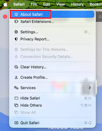 Click on About Safari