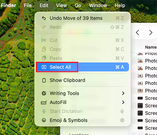 Go to Edit Select All