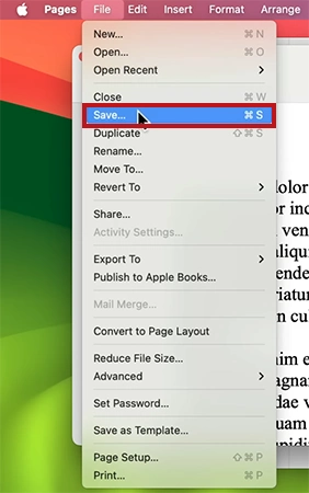 Go to File menu and click Save