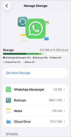 Manage iCloud Storage