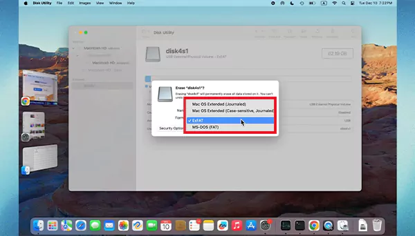 Select The File Format