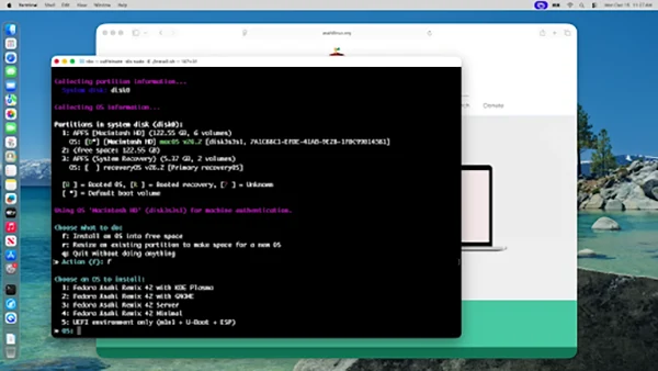 Choose an OS to install