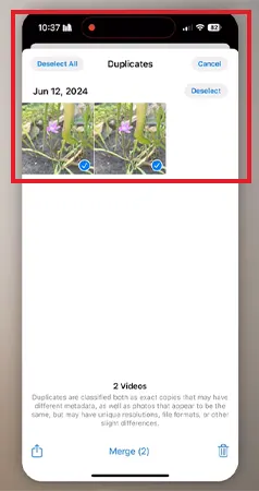 Click the Trash icon