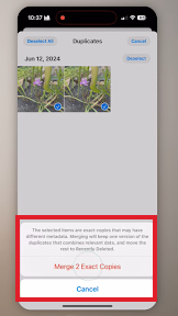 Delete one of them by tapping on Merge 2 Exact Copies 
