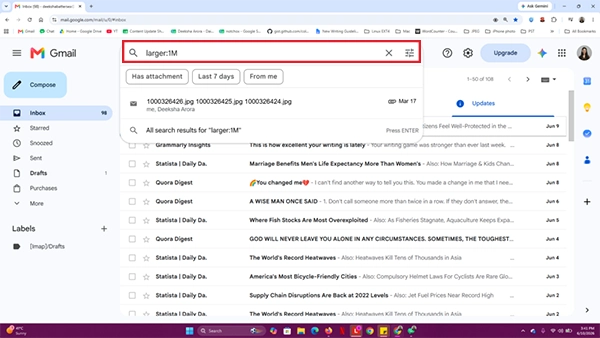 Enter query to search for large files