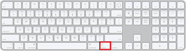 Hold the Option key while the Mac is restarting