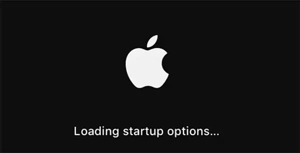 Loading startup options screen