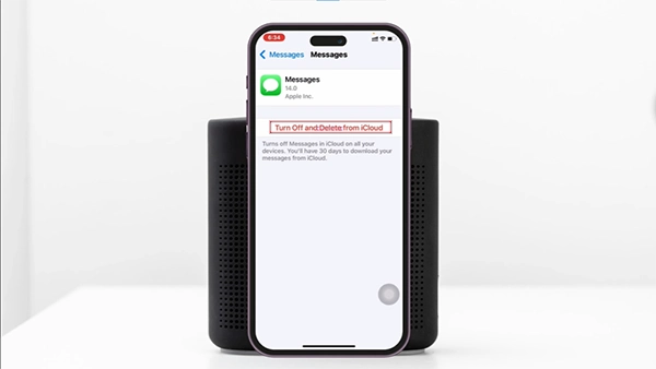 Tap on Turn Off and Delete from iCloud