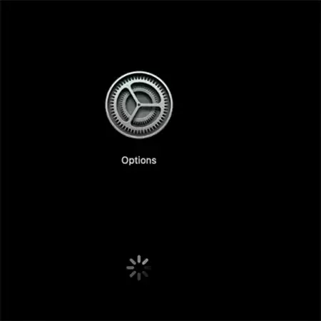 Wait for the diagnostics screen to lead