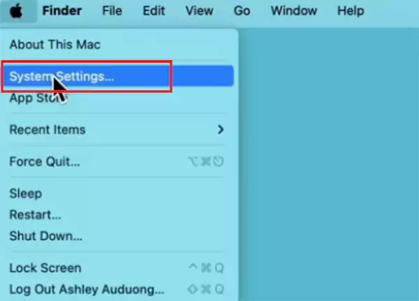 Apple menu System Settings