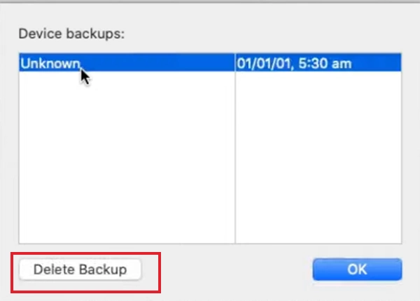 Click on Delete Backup
