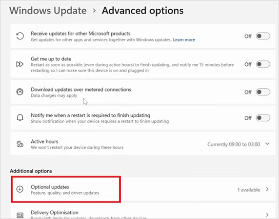 Click on Optional updates