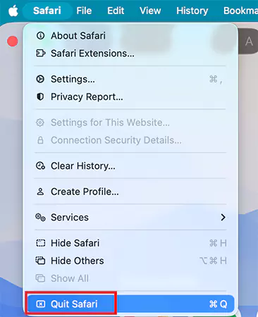 Click on the Quit option