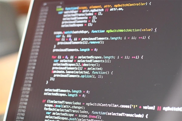 Creating Custom Software