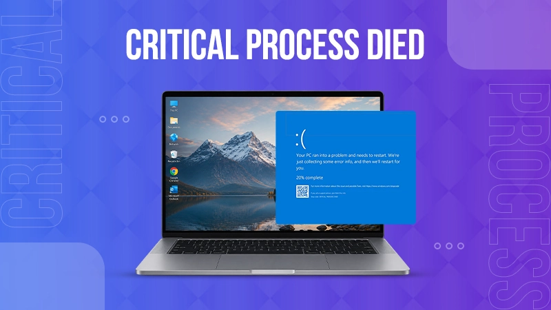 Critical Process Died