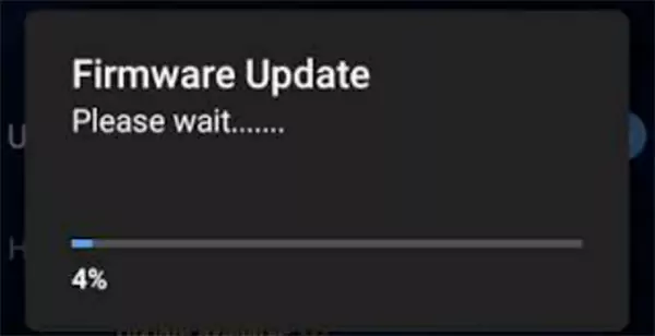Firmware update in progress
