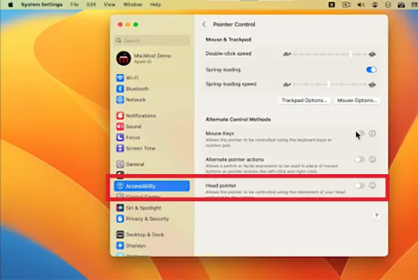 Go to Accessibility options.