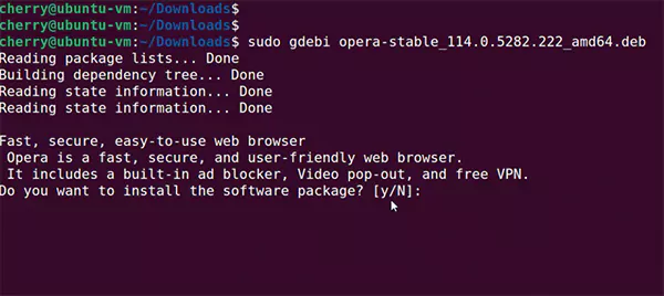 Install the deb package