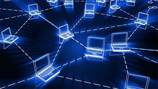 Network Insights