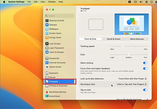 Open Trackpad settings&nbsp;