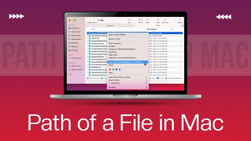 Path of a File in Mac