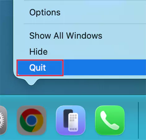 Right click the icon Quit