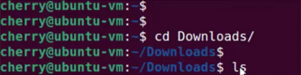 Run cd Downloads