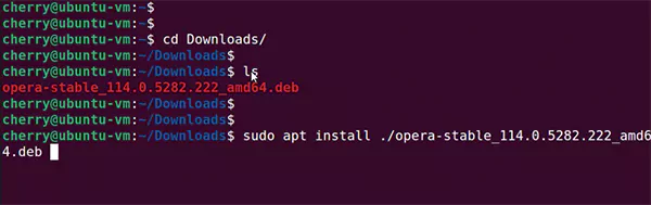 Run sudo apt install package name deb