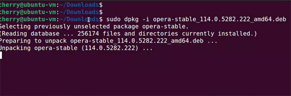 Run sudo dpkg i package name deb