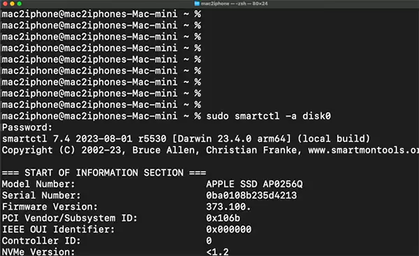 Run the smartctl command