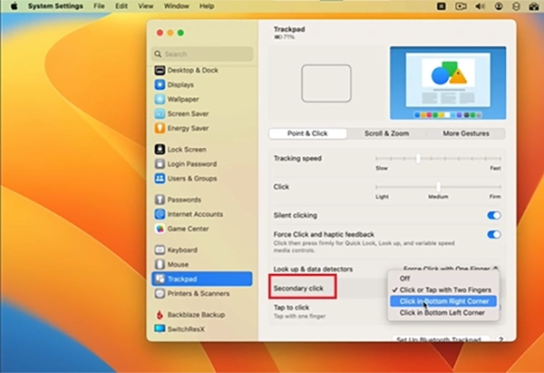 Select Secondary Click.