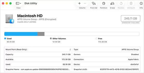 Storage information on Disk Utility
