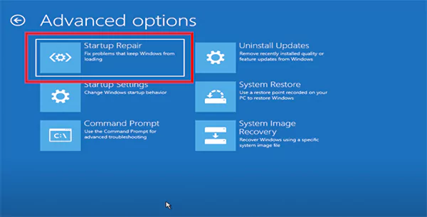 Troubleshoot Advanced Options Startup Repair
