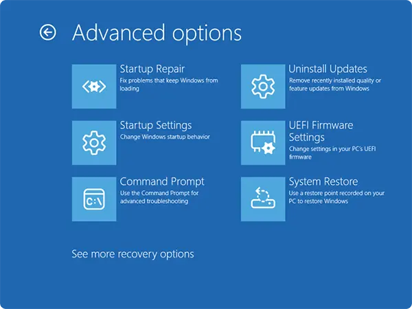 Advanced options