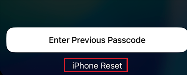 Tap on iPhone Reset