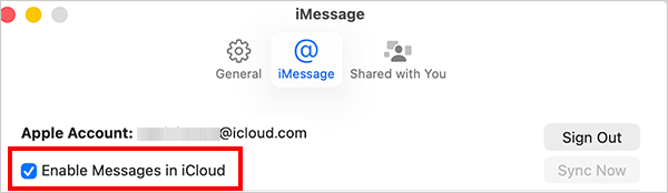 Check Enable Messages in iCloud