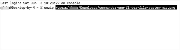 Type unzip and drag the file into the Terminal window