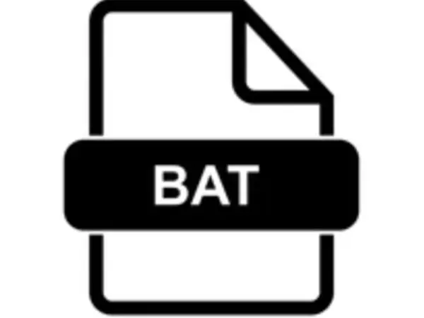 BAT File