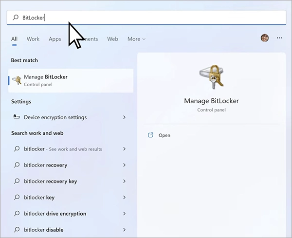 Click on Manage BitLocker