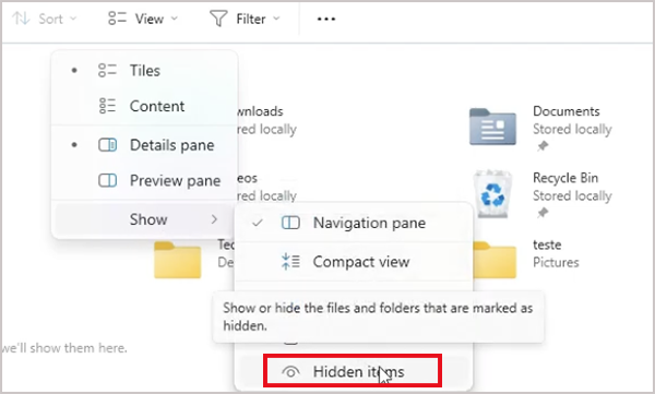 Enable Hidden items from the View menu