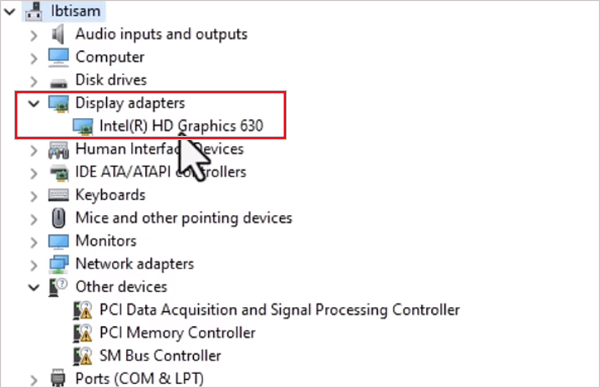 Expand the Display adapterss