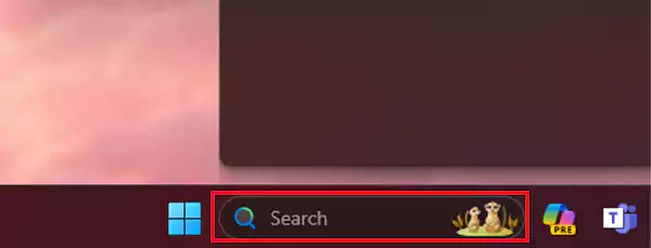 Go to the Search Bar and type as well as click on Windows Security