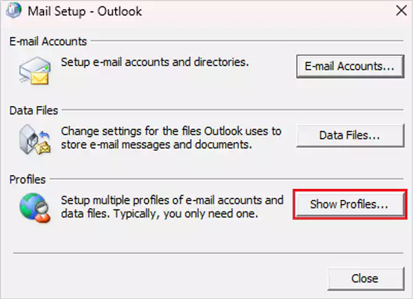 In this pop up hit Show Profiles