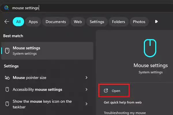 Open Mouse Settings