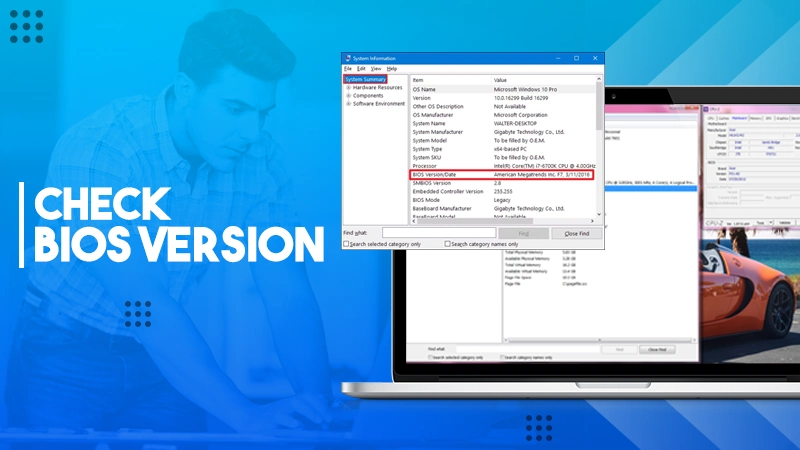 how to check bios version