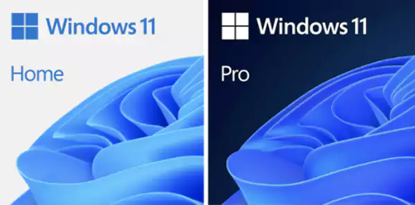 Windows 11 Home vs Windows 11 Pro