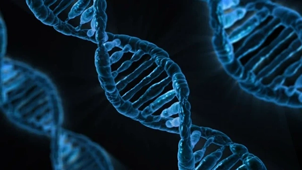 dna data health