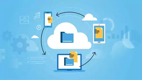 Nippy Share and File Management