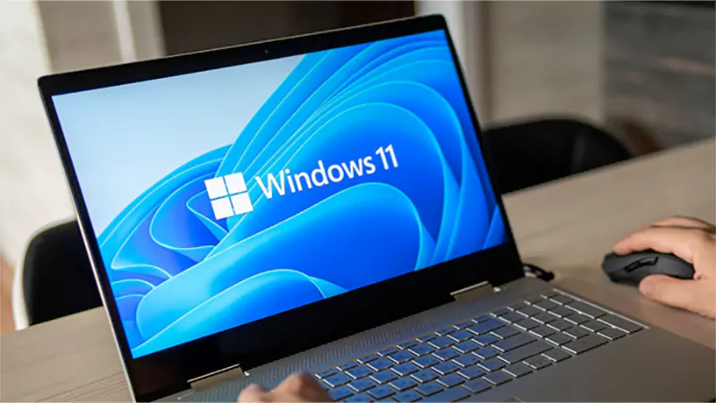 d-Windows 11 Installer Guide