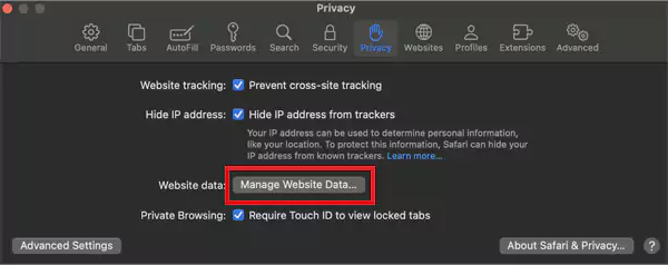 Click on Manage Website Data